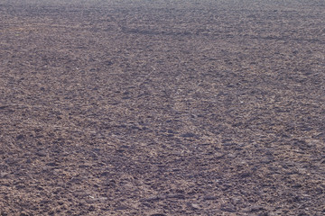 Fertile ground black