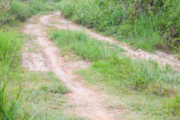 Obraz premium Country road with a old border directing to far