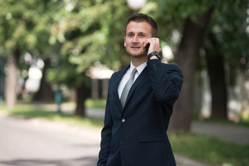 Young Businessman On The Phone Outdoors In Park