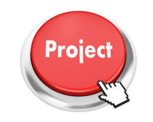 Project