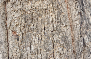 Texture & background
