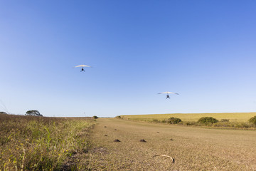 Flying microlight aircraft planes take-off on rural grass airstrip.