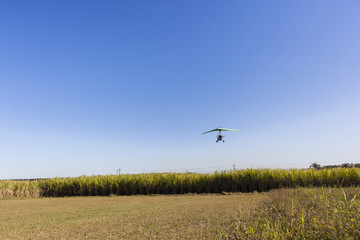 Flying microlight aircraft planes take-off on rural grass airstrip.