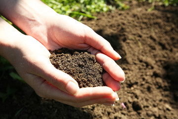 Handful of black soil above ground