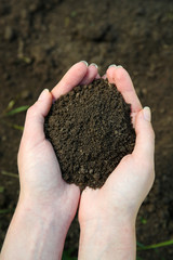 Handful of black soil above ground