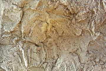Cement texture background