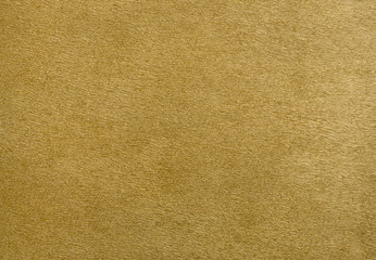 Fototapeta premium animal fur skin texture background