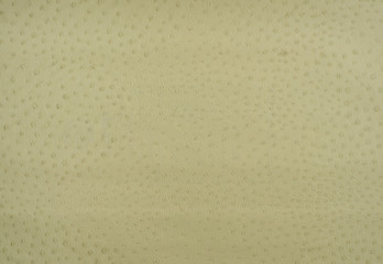 animal fur skin texture background