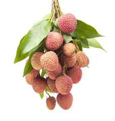 fresh lychees on white background © litchima