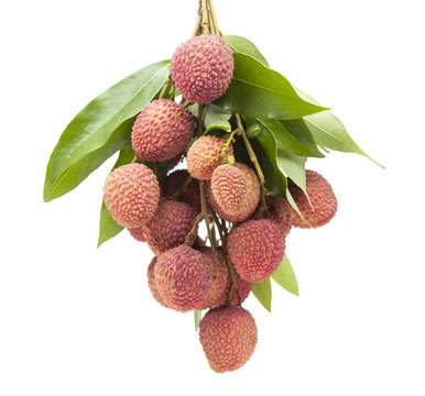 fresh lychees on white background