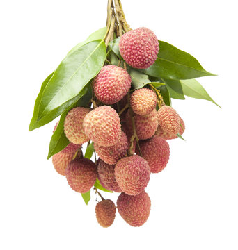 fresh lychees on white background