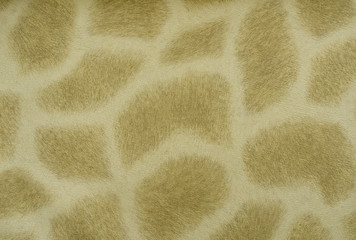  giraffe fur skin texture background