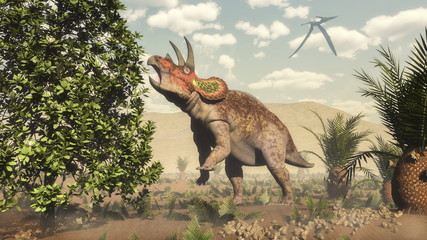 Triceratops eating at magnolia tree - 3D render - obrazy, fototapety, plakaty