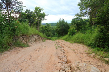 Fototapeta premium The off road