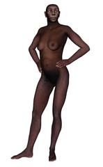 Fototapeta premium Female homo erectus standing- 3D render