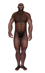 Male homo erectus standing - 3D render