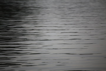 Ripple on the surface of the water