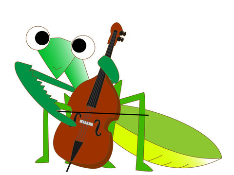 カマキリの演奏