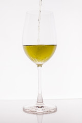 Glass Wine on white background