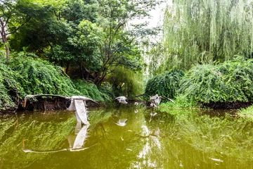 Fototapete Rund Park in Jiangyin © Angelika Bentin