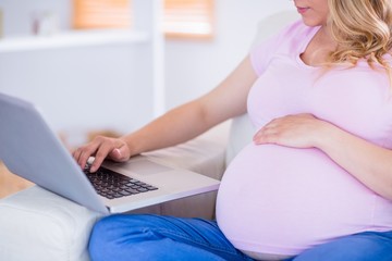 Naklejka premium Pregnant woman using her laptop