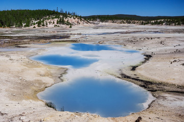 The Norris Geyser Basin in Yellowstone National Park USA
