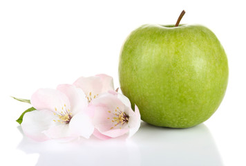 Fresh apple with apple blossom, isolated on white
