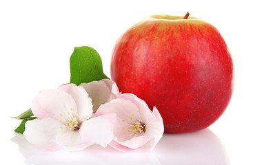 Fresh apple with apple blossom, isolated on white