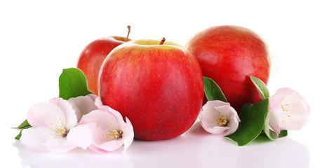 Fresh apples with apple blossom, isolated on white