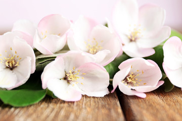 Naklejka na ściany i meble Apple blossom with leaves on wooden table
