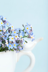 Forget-me-nots flowers in cup, on blue background