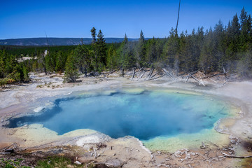 The Norris Geyser Basin in Yellowstone National Park USA