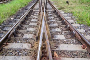 railroad tracks with railroad switch, two paths come together