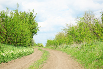 Fototapeta na wymiar Road in countryside