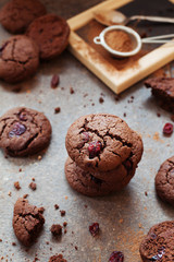 Homemade chocolate chip cookie or biscuit with dried cranberries and milk on vintage wooden background