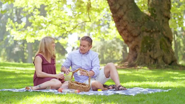 Mature Couple Having a Picnic in a Park
