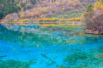 colorful water and forest in Jiuzhaigou