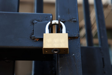 Closeup brass padlock on a black metal gate.