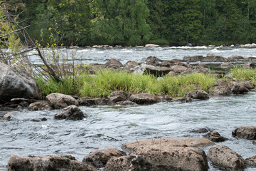 River, rapids, rocks and forest 