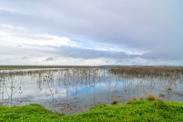 Trapani and Paceco nature reserve in Trapani, Italy