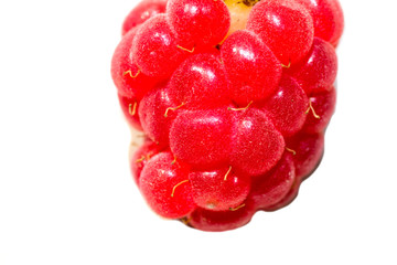 raspberry