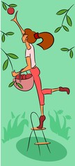 Girl gathers apple harvest
