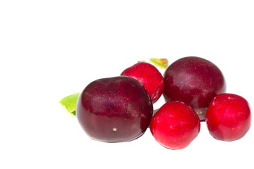 red cherry
