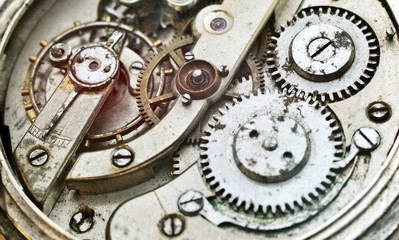 Cogwheels Inside Oldest Clockwork Macro
