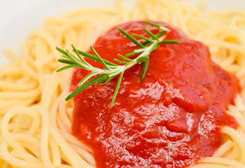 Close up of Spaghetti