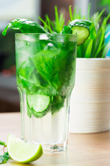 Fresh mojito