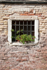 Barred window. A secure window with solid iron bars decorated with flowers within an aging brick...