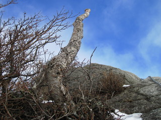 谷川連峰 白毛門山頂付近