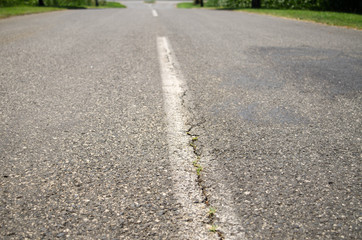 Road white line on asphalt close up with green grass aside