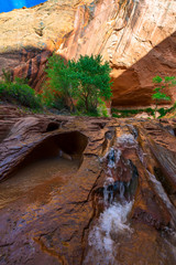 Beautiful Cascade in Coyote Gulch
